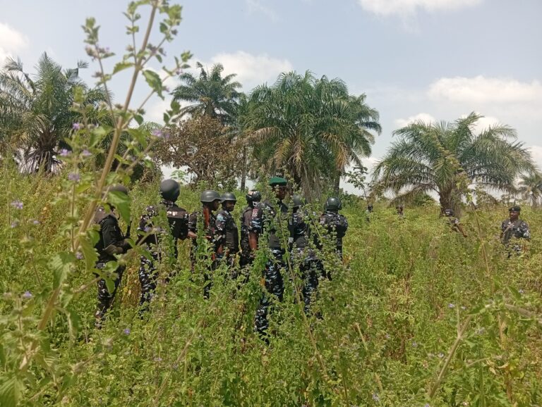 Nasarawa: Police launch operation to flush out bandits, kidnappers from forests