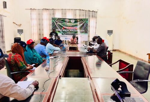 Niger govt prioritises mental care integration into primary health centres