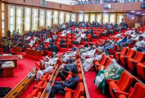 Senate passes bill to establish Federal College of Agriculture in Borno