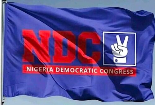 NDC withdraws recognition of diaspora chapter, gives reason