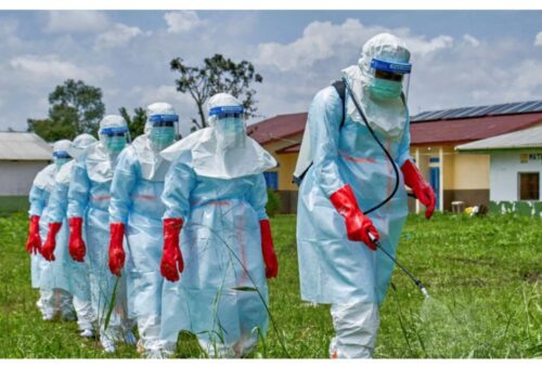 Ebola: Nigeria steps up nationwide surveillance, state mobilisation