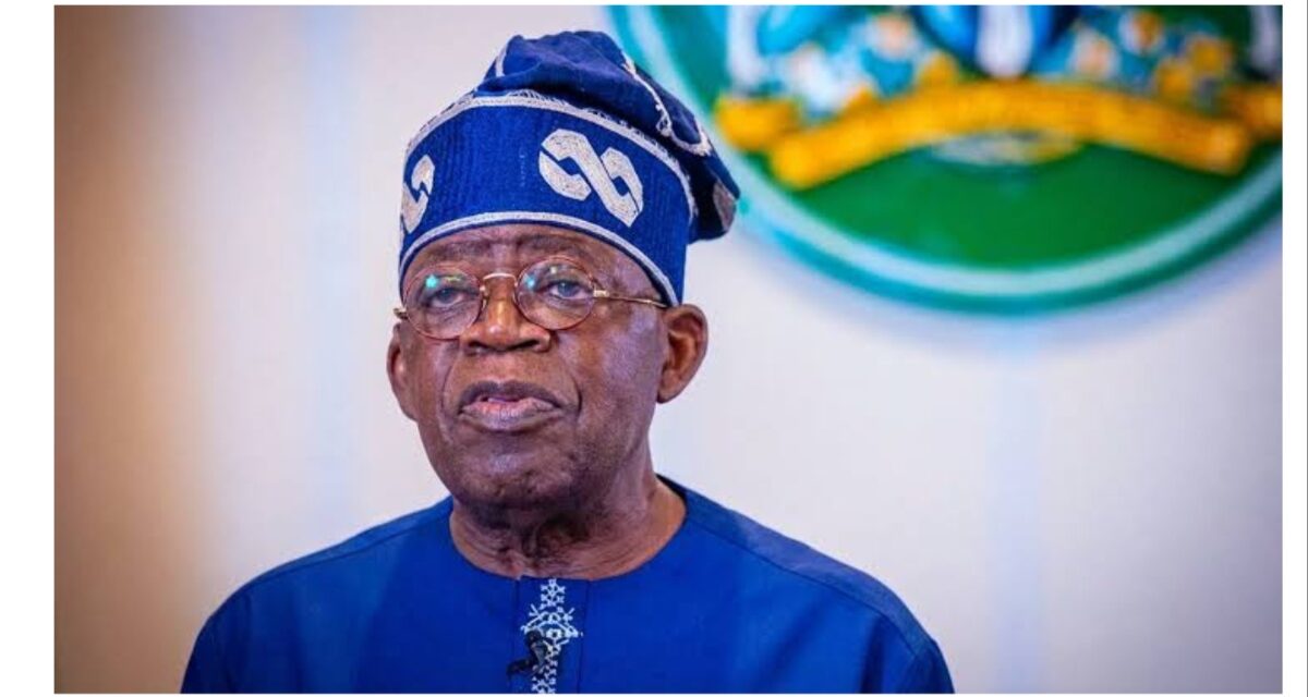 Economic hardship: Tinubu needs encouragement, not criticism – Oyintiloye