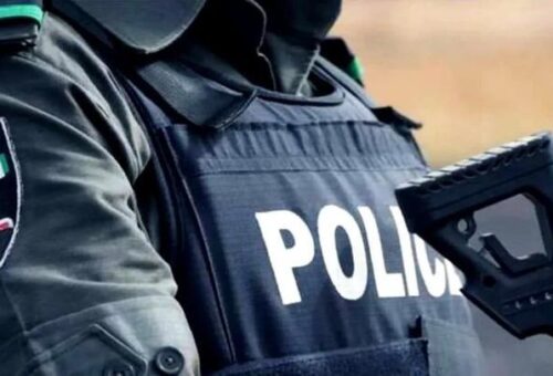 Police probe officer filmed assaulting man in Imo 
