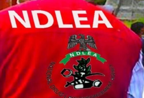 NDLEA arrests South African woman, US-based grandma with large cocaine, loud shipments