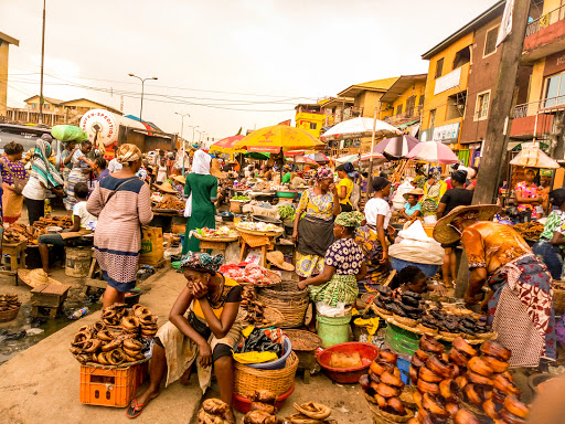 Nigerian govt sets up committee to expedite agricultural interventions, boost food security
