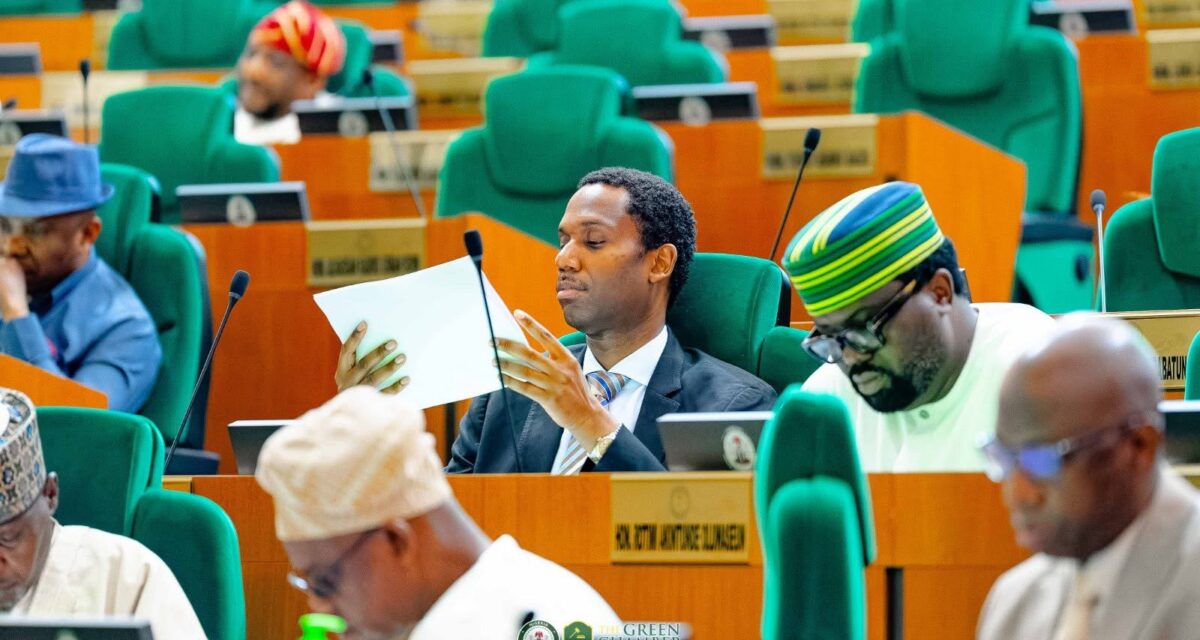 Reps panel rejects ALTON’s representation, insists on telecom chiefs’ appearance