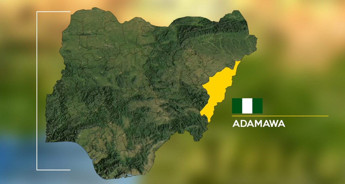 Troops kill 6 suspected Boko Haram, ISWAP terrorists in Adamawa – Daily Trust