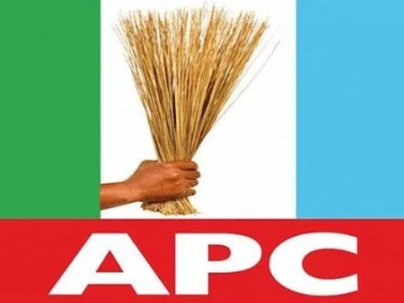 We ‘ll Run Issue-Based Campaign Devoid of  Violence – THISDAYLIVE