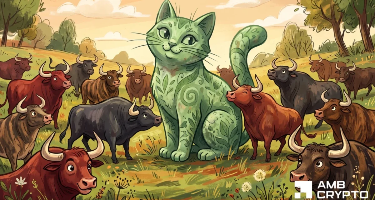 Here’s why CashCat’s 11% rally puts Hyperliquid, Gate and Bybit in focus