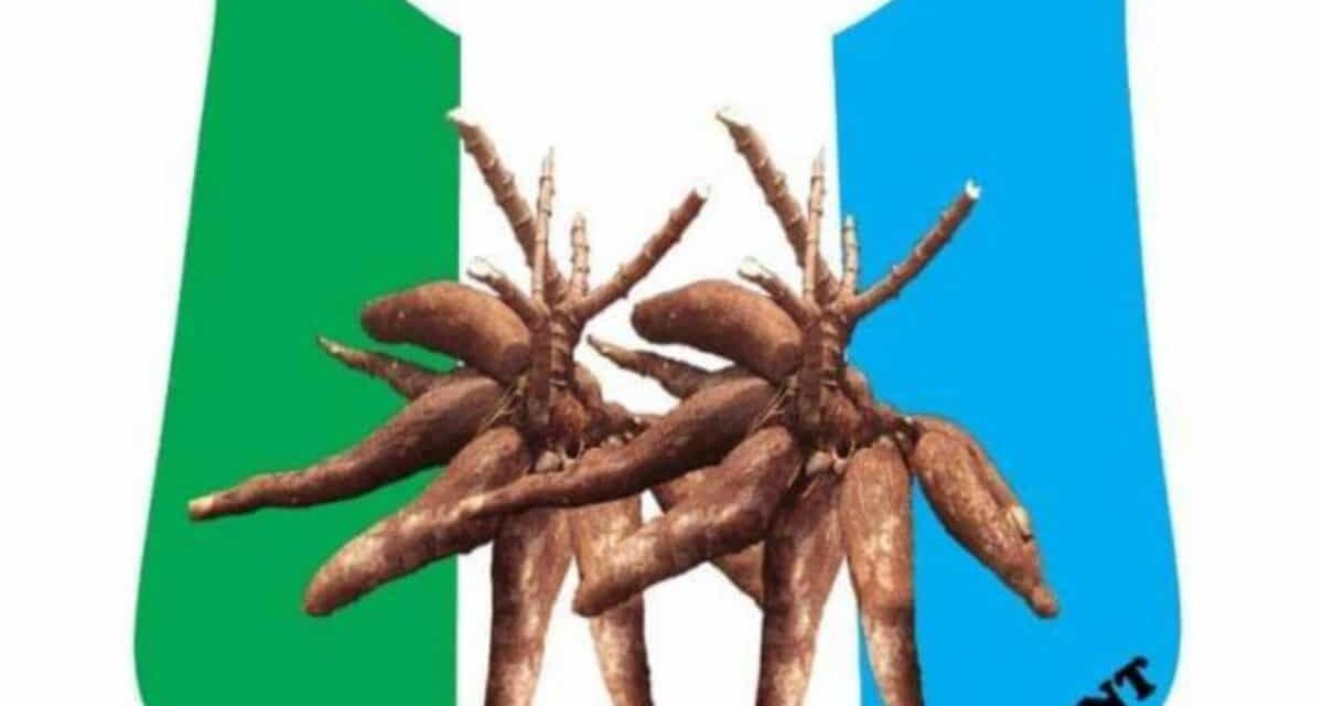 APM Drags INEC, PRP Guber Candidate Buba to Court over Violation of 21-Day Rule – THISDAYLIVE
