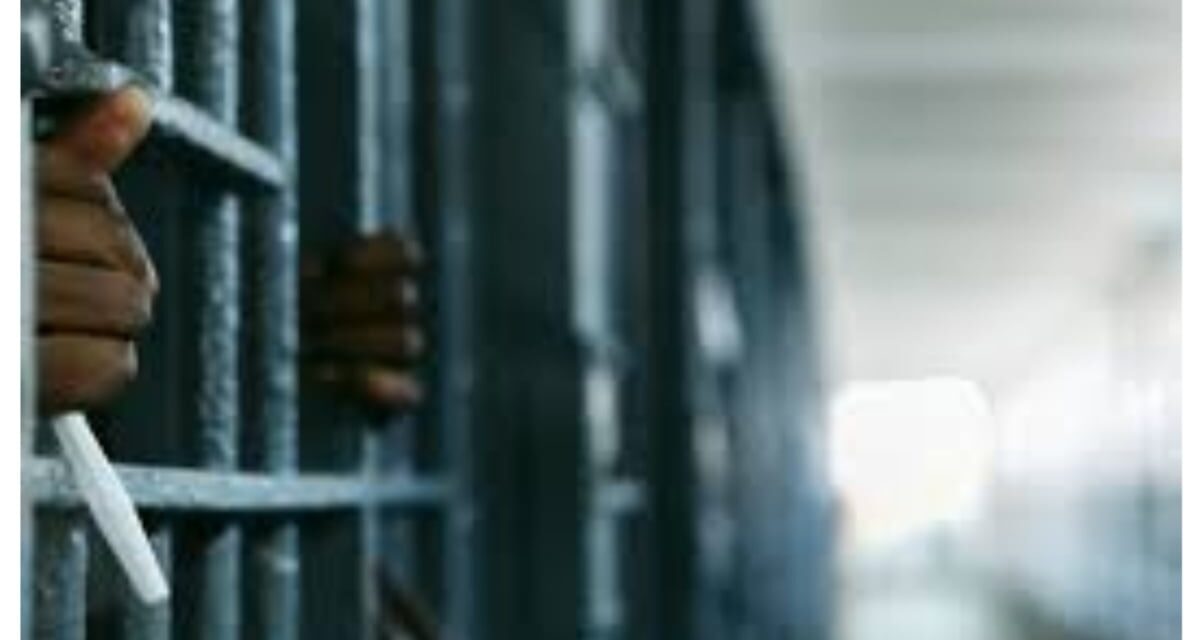 Yobe farmer jailed 10 years for failing to report Boko Haram members