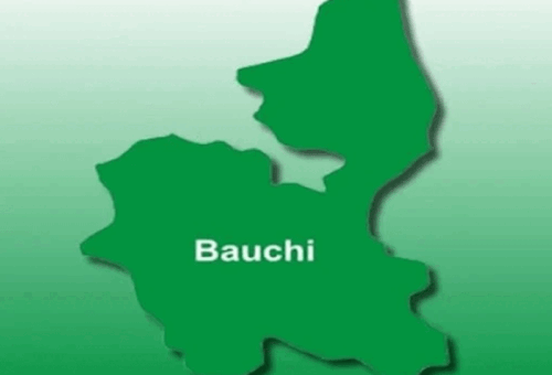 NEDC Engages Bauchi Stakeholders On 10,330 Electric Vehicles For North-east – THISDAYLIVE