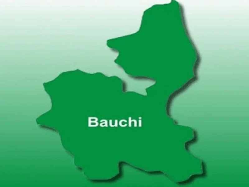 NEDC Engages Bauchi Stakeholders On 10,330 Electric Vehicles For North-east – THISDAYLIVE