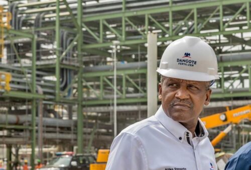 51 African Nations Participate in Dangote Refinery’s Initial Public Offer – THISDAYLIVE