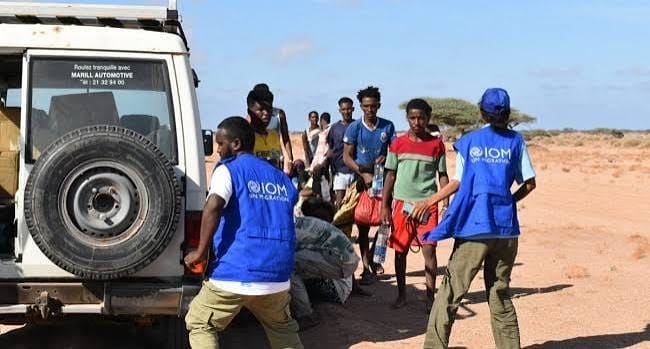 139 migrants dead, 84 missing in Djibouti boat wreck – Daily Trust