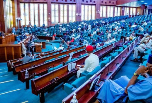 Reps summon Taiwo Oyedele, AGF over N75bn UBEC debt