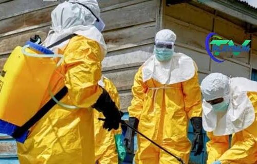Nigeria’s Index Ebola Patient Evacuated Abroad By Air Ambulance  – THISDAYLIVE