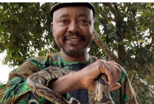 Nigerian emerges West Africa chair for IUCN Snake Specialist Group