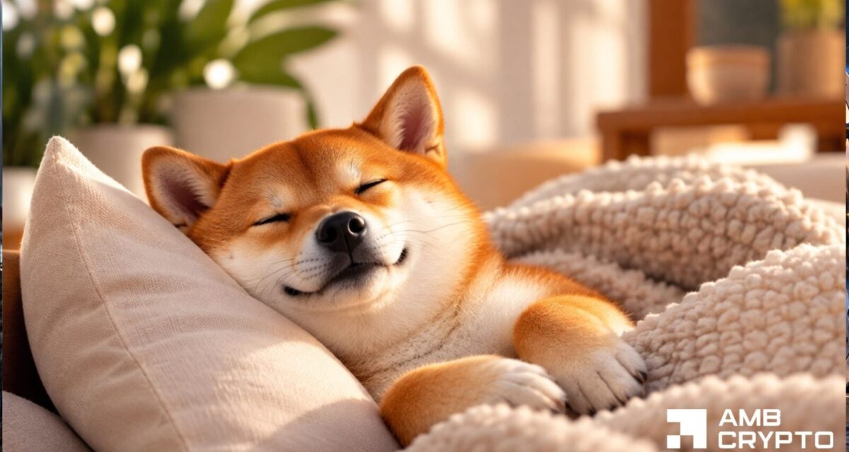 Shiba Inu burns 1.42M tokens as sellers tighten their grip – Can SHIB recover?