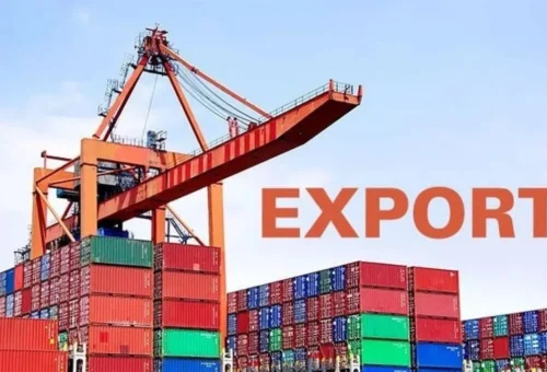 Nigeria risks losing  billion in annual export earnings over EU rules – NEPC