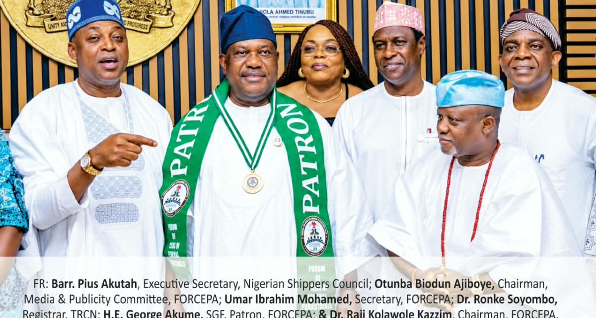 A Timely Initiative to Strengthen Tinubu’s Re-election Campaign – THISDAYLIVE