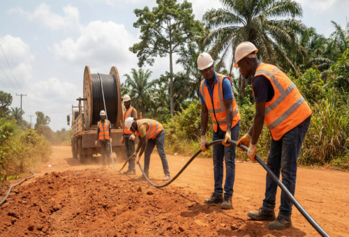 Cheaper fibre fees don’t spark Nigerian infrastructure investment