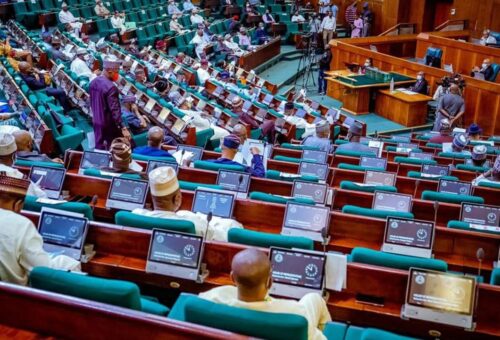Reps Panel Passes Vote of Confidence in Tinubu, NNPCL, PINL Over Pipeline Security Gains – THISDAYLIVE