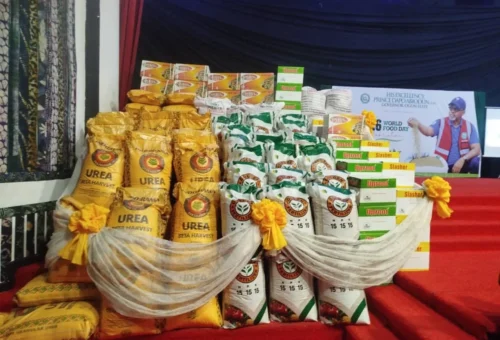 World Food Day: Ogun, SAPZ Support 10,000 Rice, Cassava Farmers