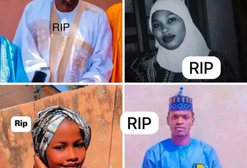 Bauchi health agency boss, four children die in auto crash