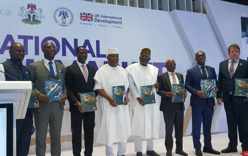 FG Unveils Master Plan, Savings Scheme To Drive trn Capital Market