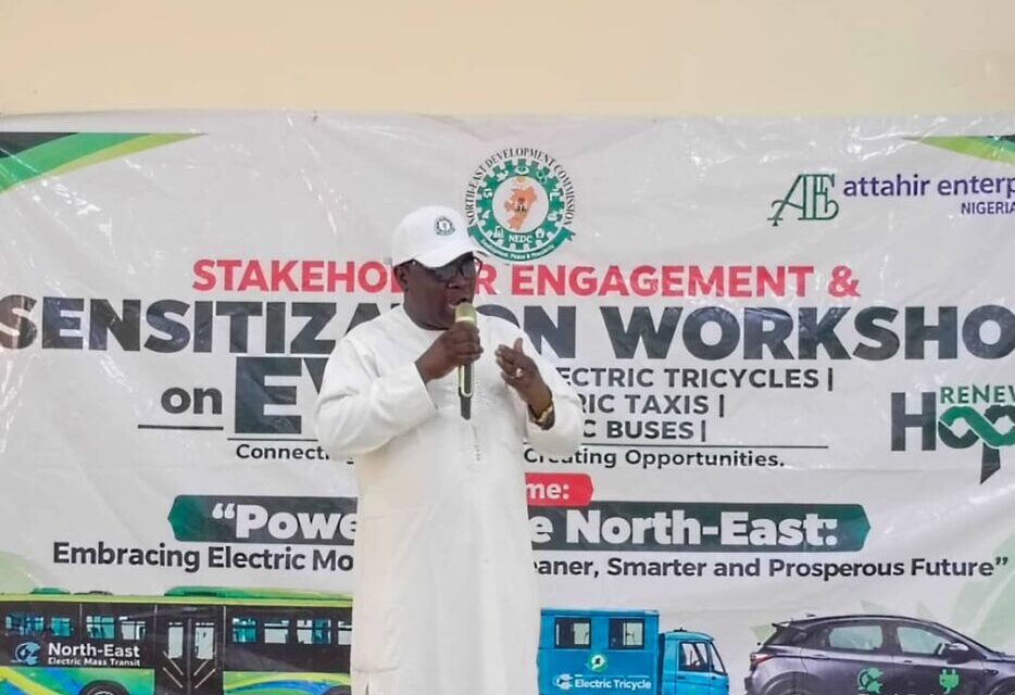 NEDC Yet To Finalise Distribution Of 10,330 Electric Vehicles In North-East