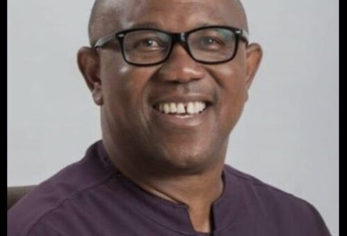 ‘We’ll Rig Those Who Rig Elections,’ Peter Obi Warns