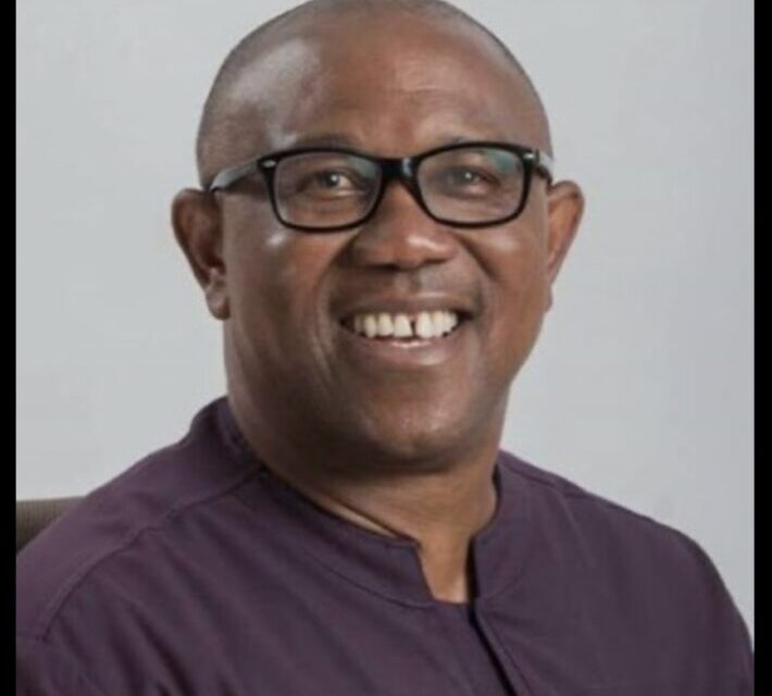 ‘We’ll Rig Those Who Rig Elections,’ Peter Obi Warns