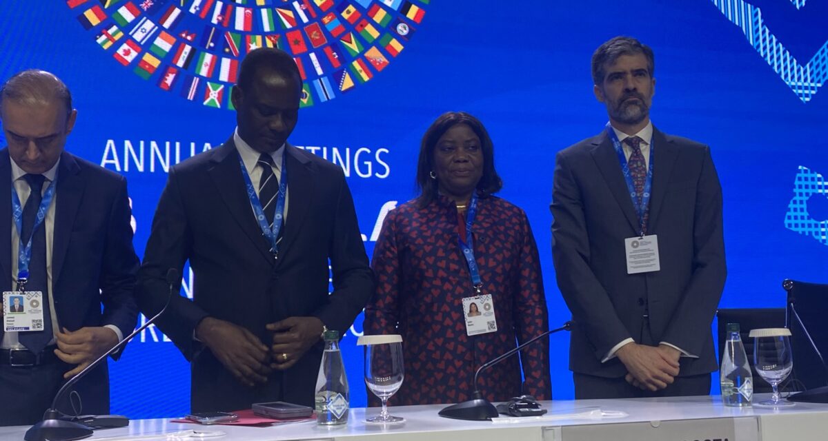 Oyedele, Iyabo Masha speak as G-24 raises concerns over high borrowing costs