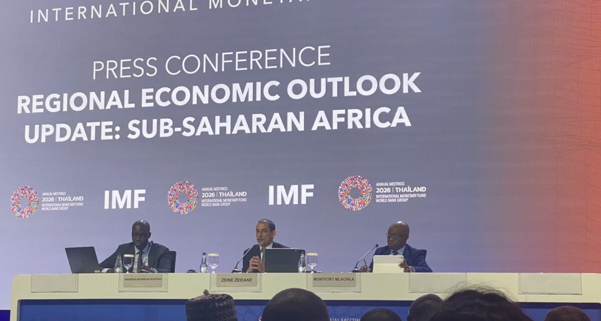 Make sure subsidy savings go to poor citizens, IMF tells Nigerian Govt, others