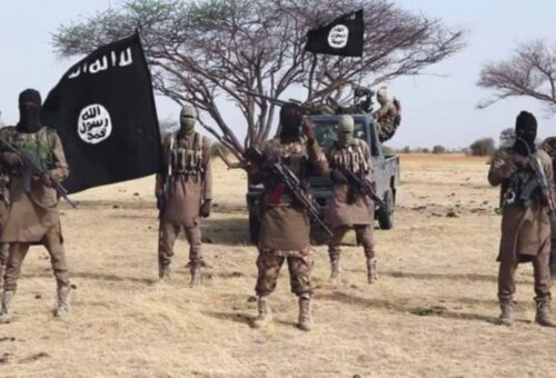 ISWAP fighter flees enclave, surrenders with wife, son in Borno