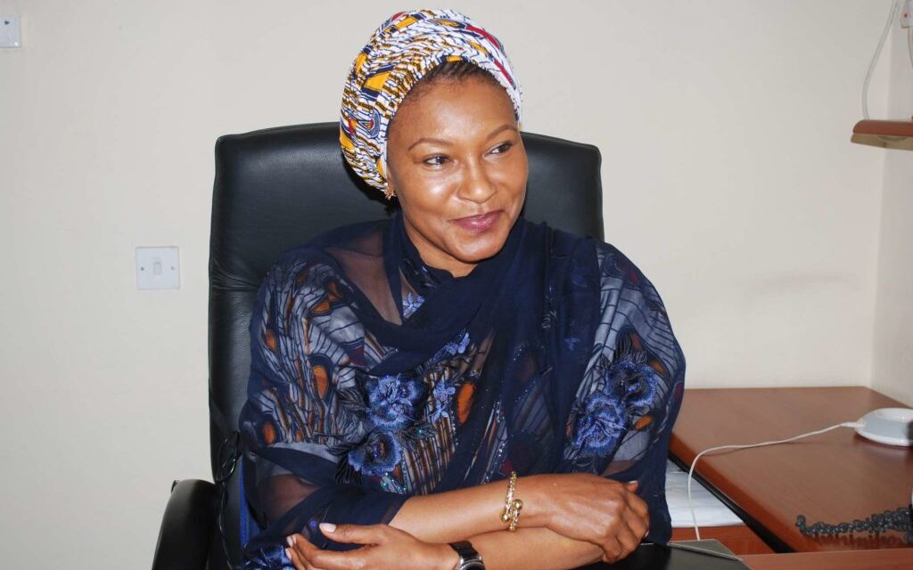 Kingibe, Others Canvass Funding, Legislative Intervention On Healthcare Deficits