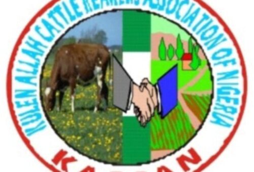 North can end insecurity in 45 days if committed – KACRAN