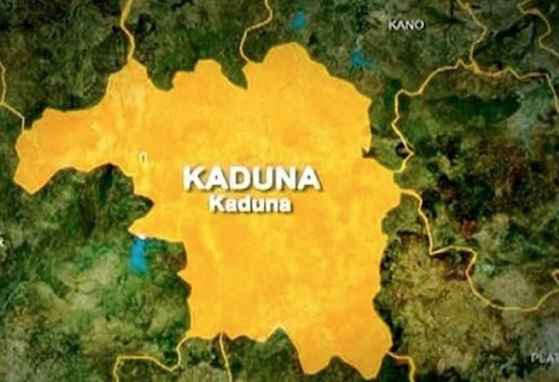 A FRIEND OF THE NORTH – THISDAYLIVE