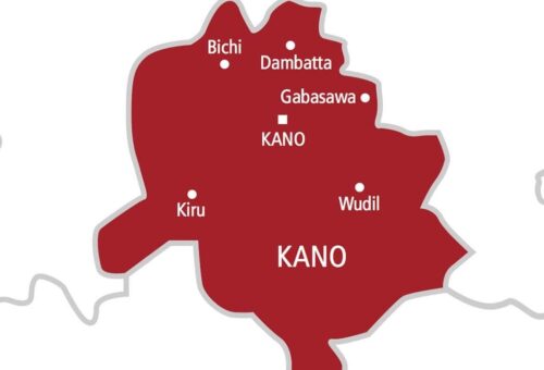 Kano woman faces trial for allegedly mutilating boyfriend’s genitals