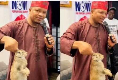 Kano Assembly probes lawmaker over alleged mockery of governor