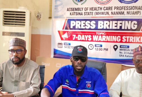 Katsina ​‌⁠‌‍⁠⁠‍​‍‍‍⁠​‌‌‌​health professionals declare 7-day warning strike – Daily Trust