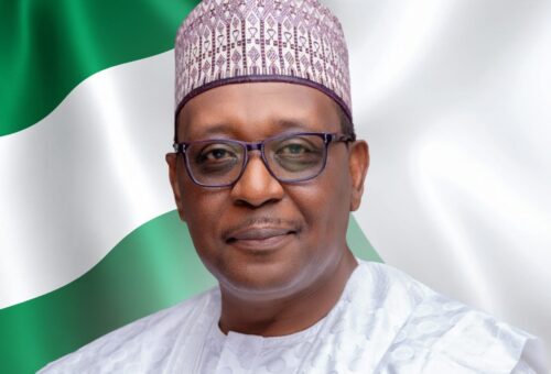 National Sovereignty and Domestic Financing – THISDAYLIVE