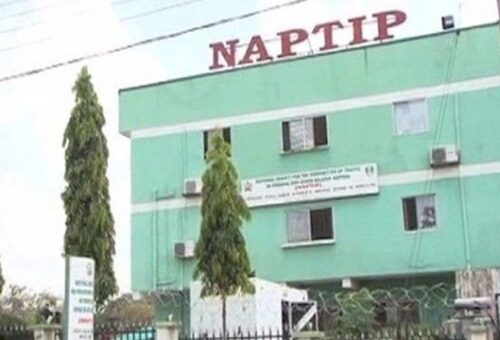 Bauchi records 70 human trafficking cases, three convictions – NAPTIP