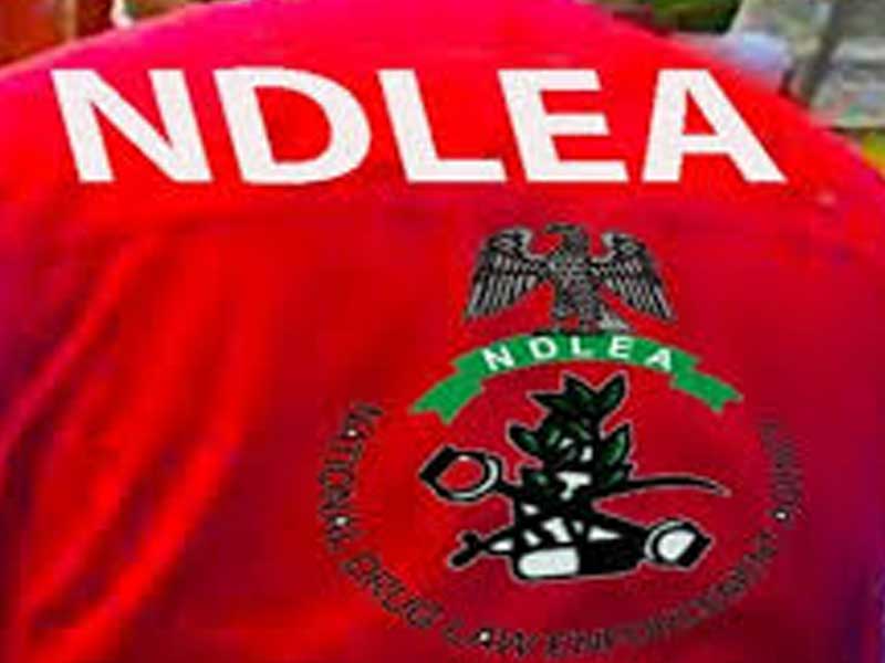 No Payment Required for Drug Integrity Test by Interior Ministry Recruits – THISDAYLIVE