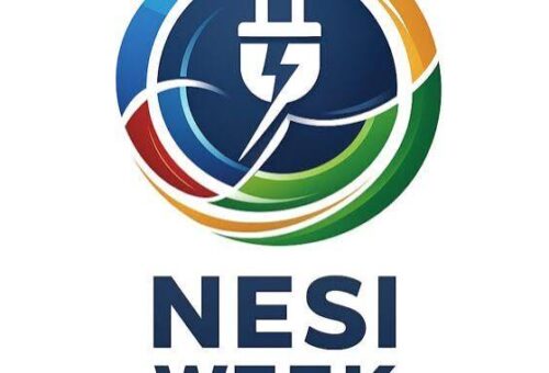 NESI Week Deferred Till December to Align with Power Sector Reforms – THISDAYLIVE