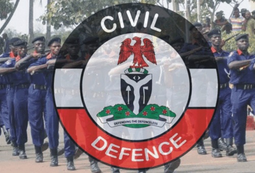 Suspended Niger NSCDC Commandant Admits ‘Costly Mistake’, Apologises – THISDAYLIVE