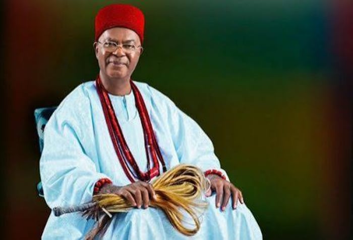 It’s delusional to place all hopes on govt, citizens must strive to help themselves amidst hardship – Obi Achebe