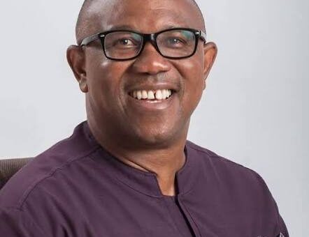 Peter Obi Media Office Faults Shettima Over Remarks on Its Presidential Candidate – THISDAYLIVE