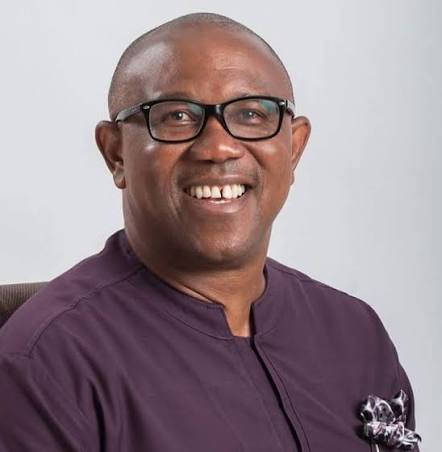Peter Obi Media Office Faults Shettima Over Remarks on Its Presidential Candidate – THISDAYLIVE